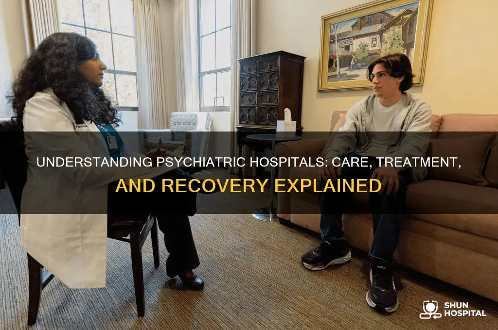 how psychiatric hospitals