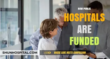 Understanding Public Hospital Funding: Sources, Challenges, and Sustainability