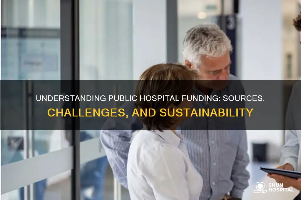 how public hospitals are funded