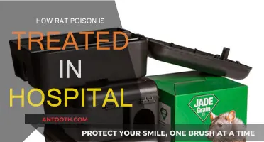 Rat Poison Antidote: Hospital Treatment Protocols Explained