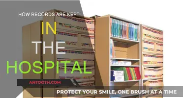 Hospital Record-Keeping: A Secure System