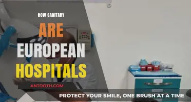 European Hospital Hygiene: Assessing Sanitation Standards and Patient Safety
