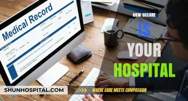 How Secure is Your Hospital? Assessing Vulnerabilities and Safeguarding Patient Data