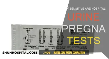 Are Hospital Urine Pregnancy Tests Accurate and Reliable?