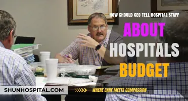 Effective CEO Communication: Sharing Hospital Budget Insights with Staff
