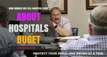 Effective CEO Communication: Sharing Hospital Budget Insights with Staff