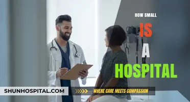 Exploring the Compact Size of Modern Hospitals: How Small is Too Small?