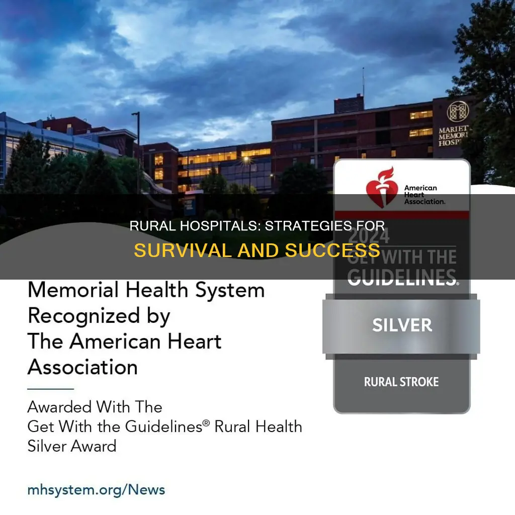 how states have successfully kept rural hospitals