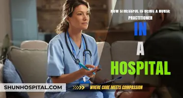 Hospital Nurse Practitioner Stress: Challenges, Coping, and Resilience Revealed