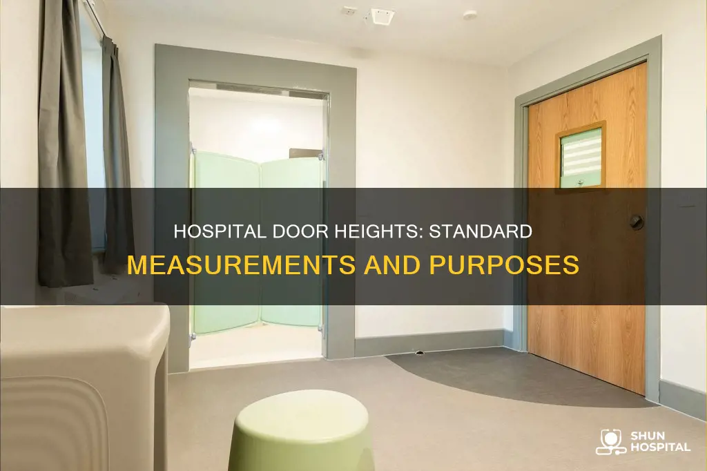 how tall is a door in hospital