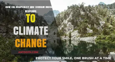 Sustainable Stays: Hospitality and Tourism's Climate Change Adaptation Strategies