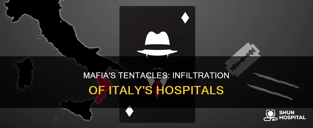 how the mafia infiltrated italy