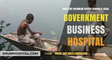 Outbreak's Impact: Schools, Local Government, Businesses, and Hospitals Adapt