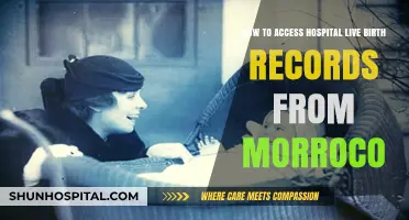 Accessing Morocco's Hospital Live Birth Records: A Comprehensive Guide