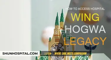 Unlocking Hospital Wing Secrets in Hogwarts Legacy