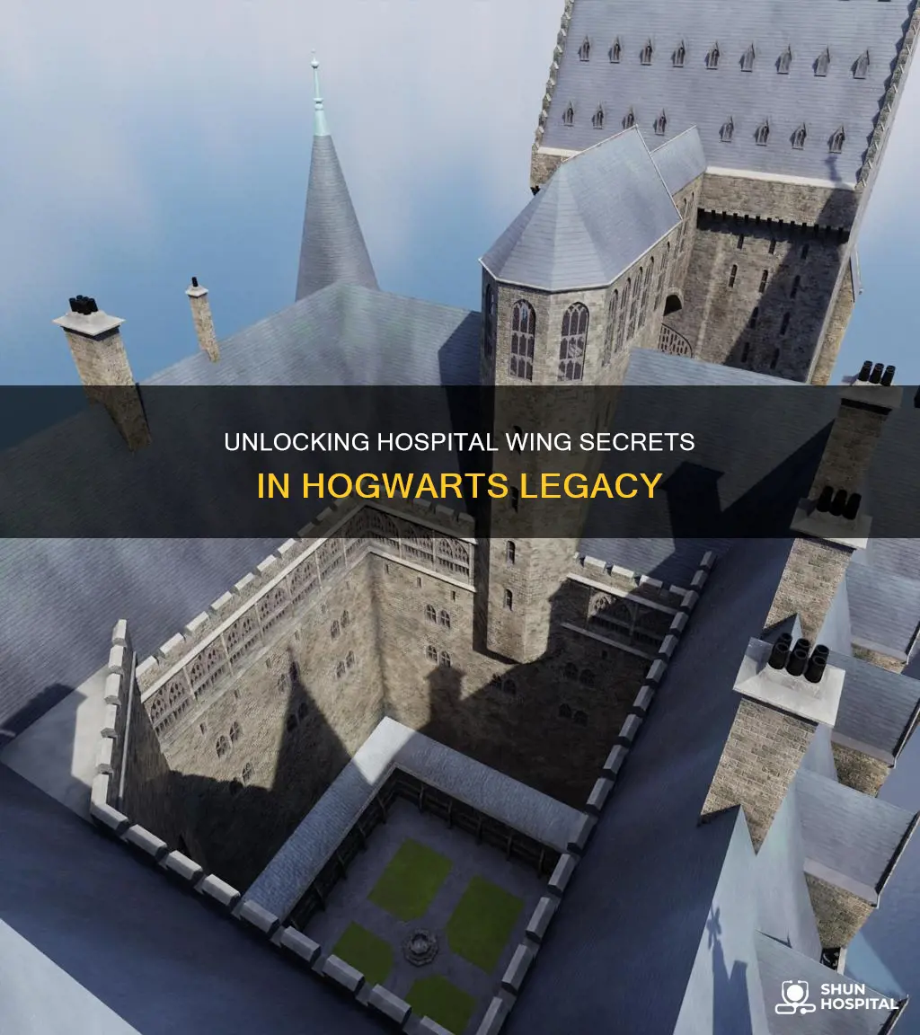 how to access hospital wing hogwarts legacy