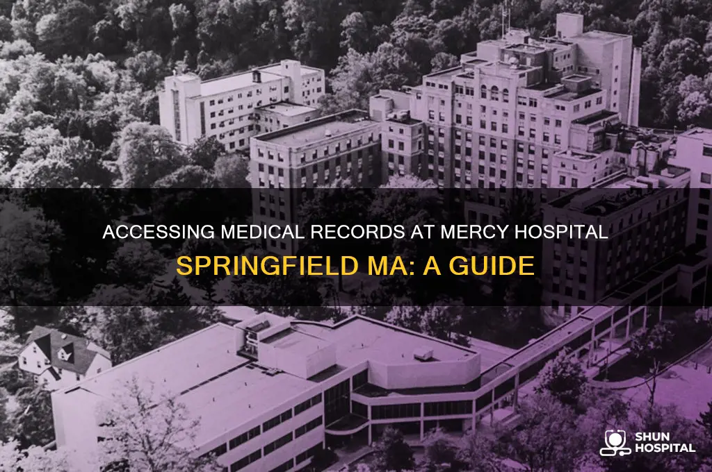 how to access records at mercy hospital springfield ma