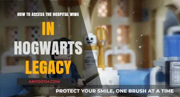 Hogwarts Legacy: Navigating to the Hospital Wing Easily