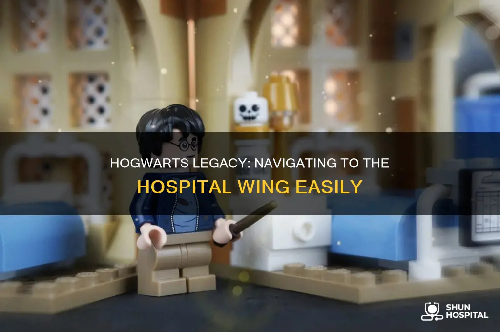 how to access the hospital wing in hogwarts legacy