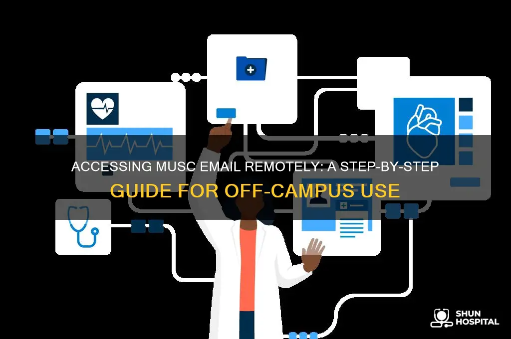 how to access to musc email out of hospital