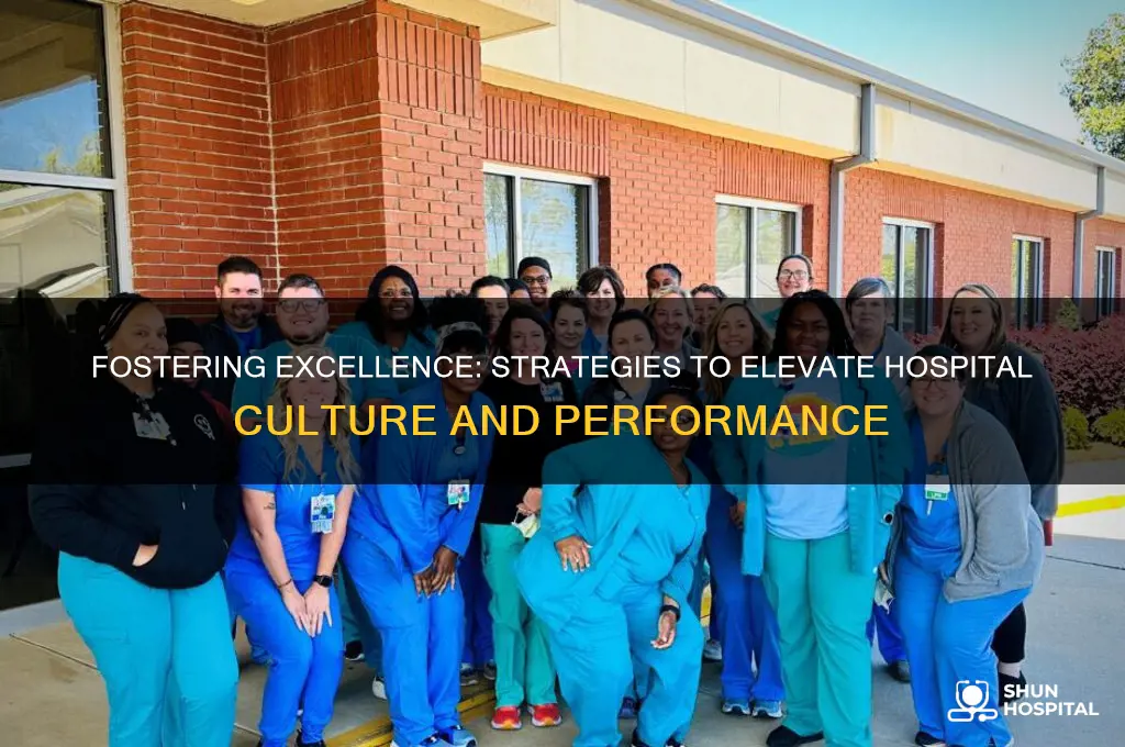 how to advance a culture of excellence in the hospital