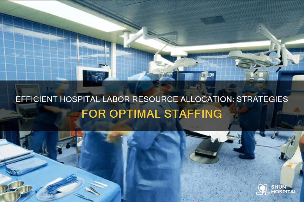 how to allocate resources for labor in a hospital