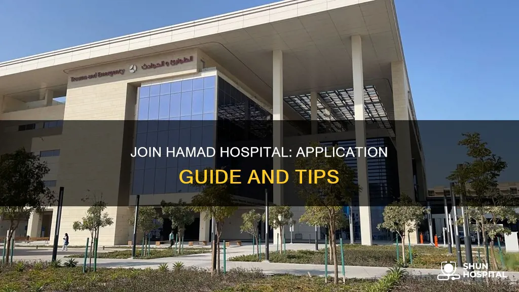 how to apply in hamad hospital qatar