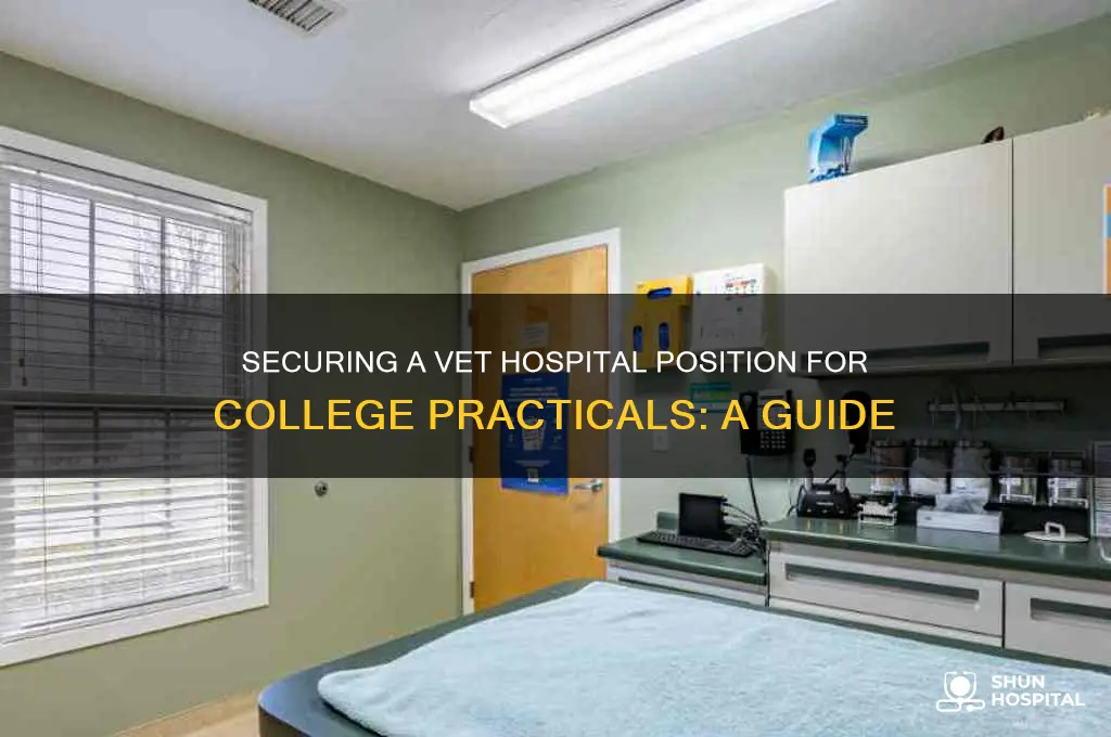 how to ask vet hospital for position in college practicals