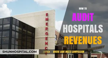 Maximizing Hospital Revenue: A Comprehensive Guide to Effective Auditing