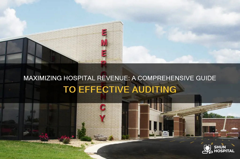 how to audit hospitals revenues