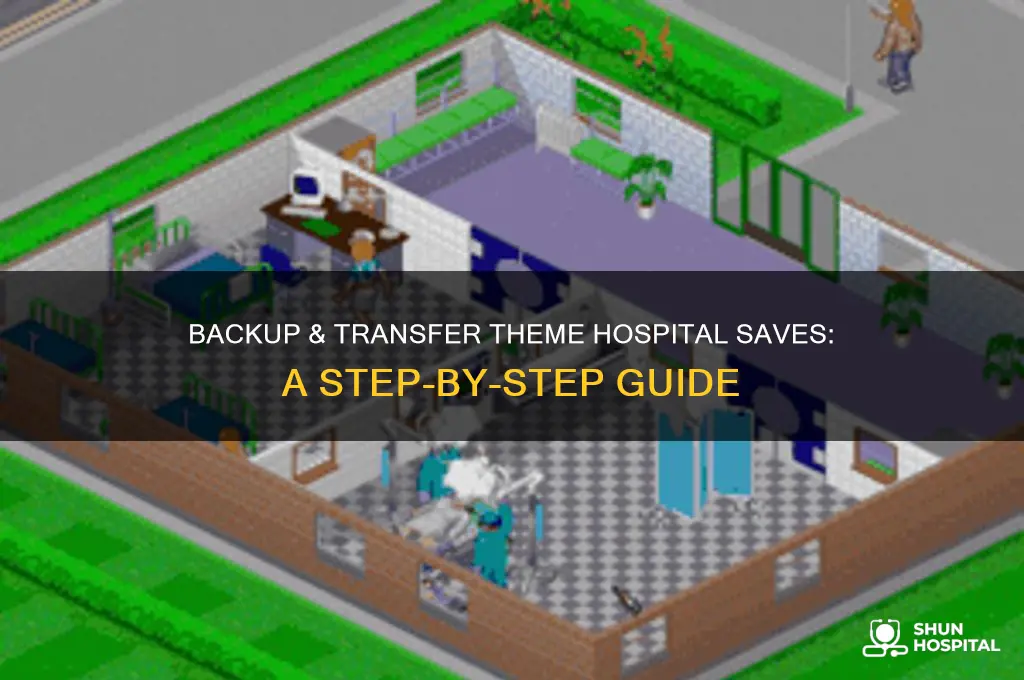 how to backup and transfer saved games theme hospital