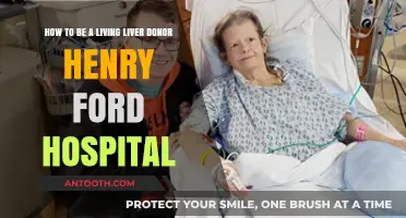 Living Liver Donation at Henry Ford Hospital: A Step-by-Step Guide