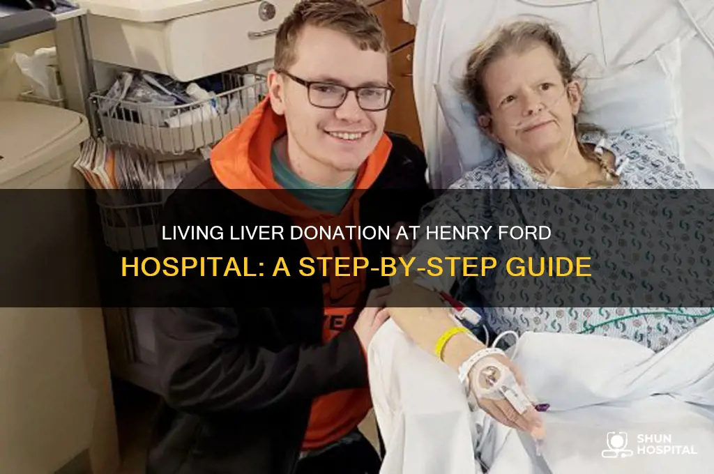 how to be a living liver donor henry ford hospital