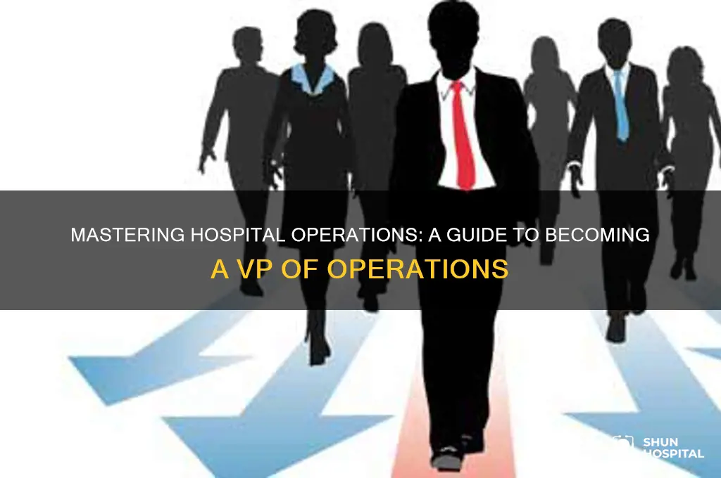 how to be a vp of operation in hospital