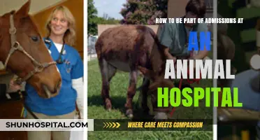 Join the Team: A Guide to Animal Hospital Admissions Roles