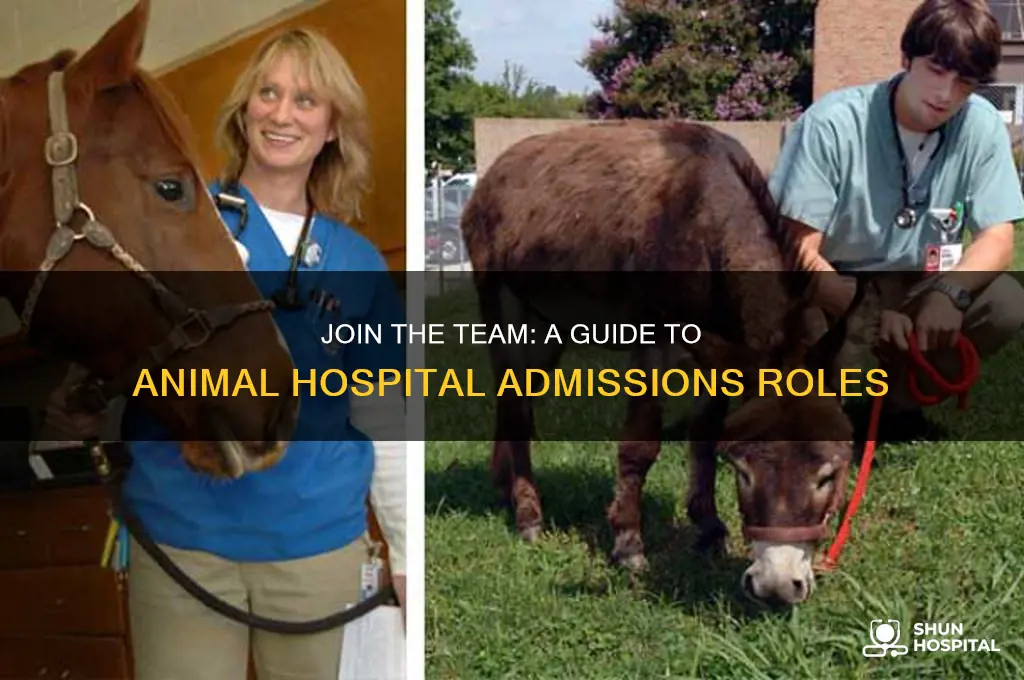 how to be part of admissions at an animal hospital