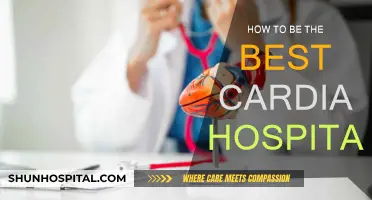 Leading Cardiac Care: Strategies for Hospital Excellence