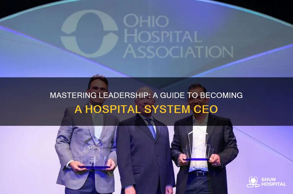 how to become a ceo of a hospital system