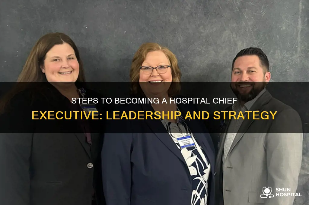 how to become a chief executive of a hospital