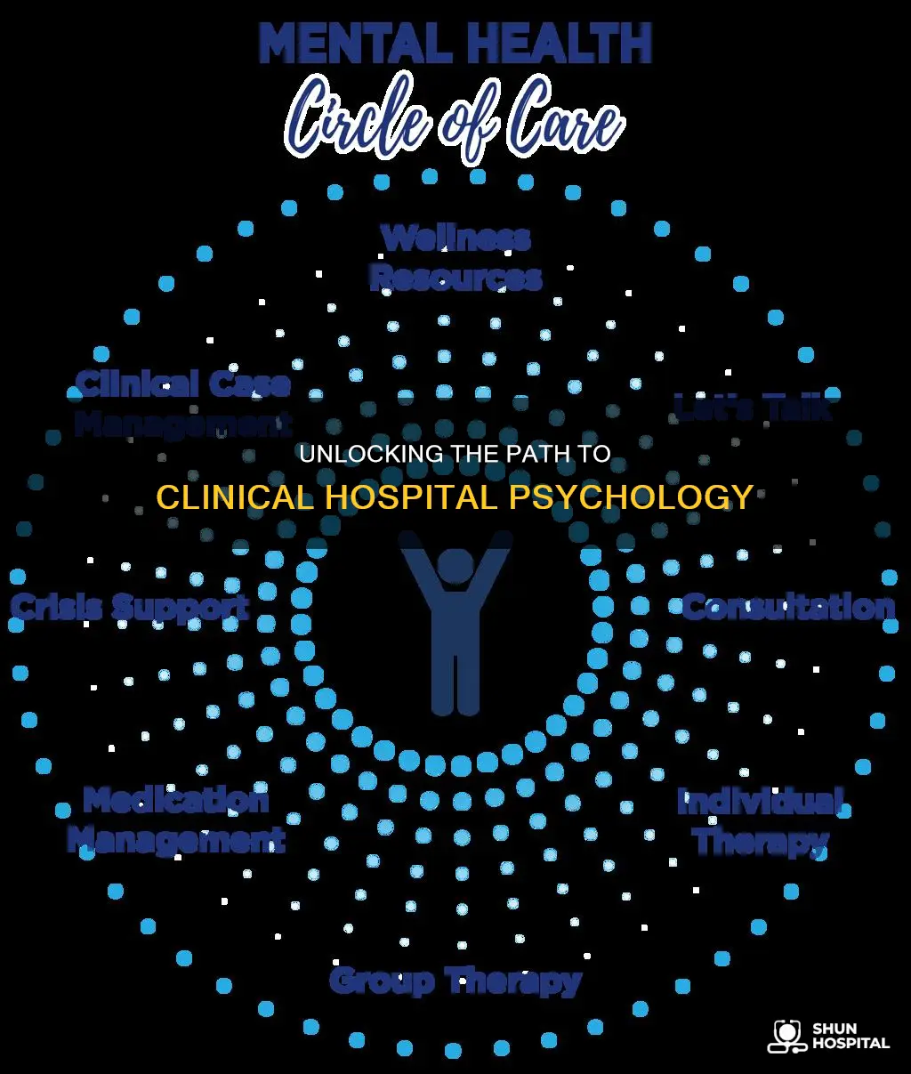 how to become a clinical hospital psychologist