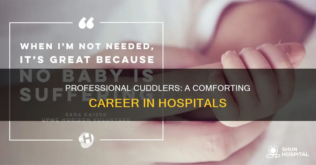 how to become a cuddler at hospital