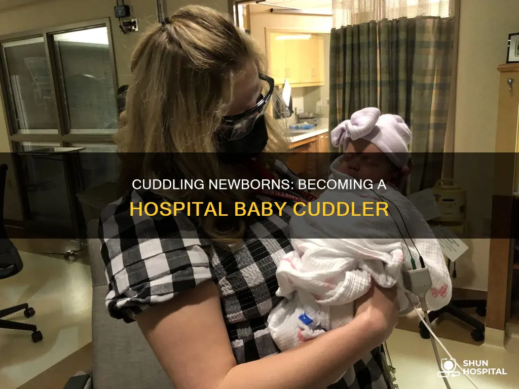 how to become a hospital baay cuddler