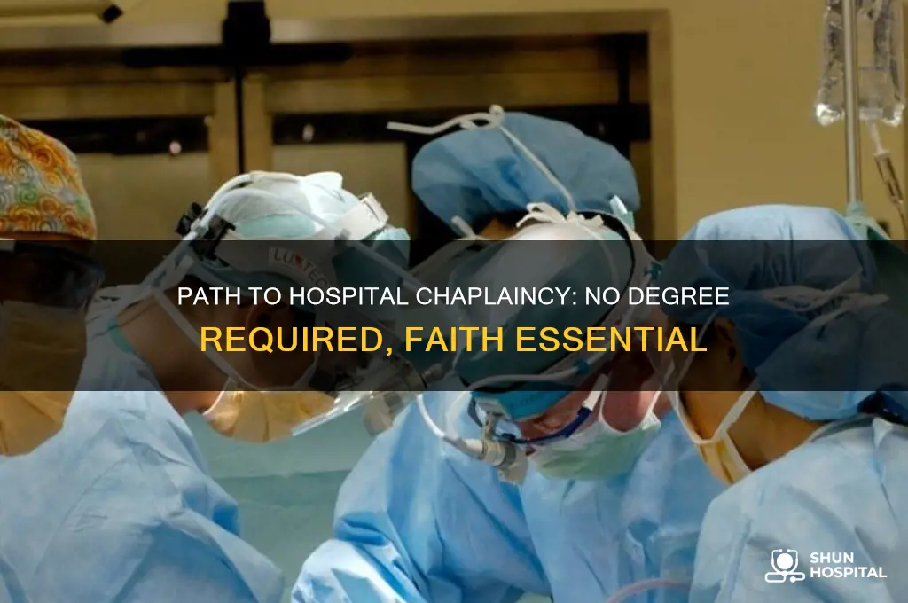 how to become a hospital chaplain without a degree
