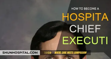 Strategies to Become a Hospital Chief Executive