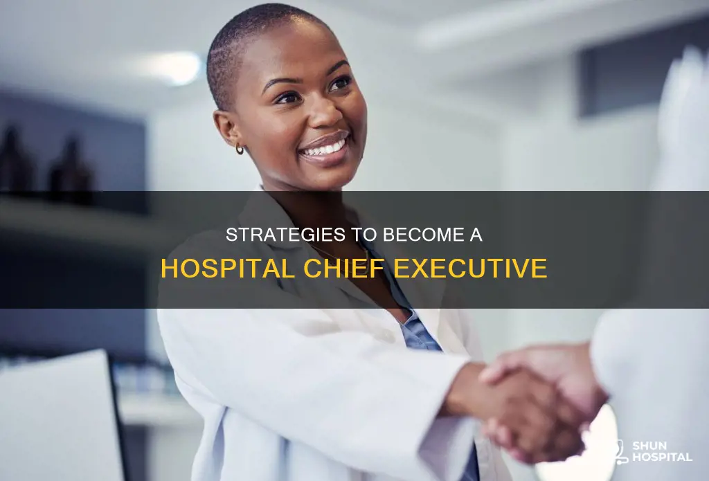how to become a hospital chief executive