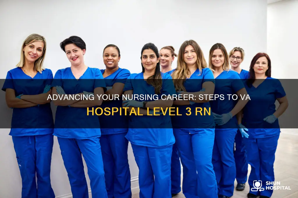 how to become a level 3 registered nurse va hospital