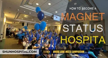 The Magnet Hospital: Strategies for Achieving Excellence