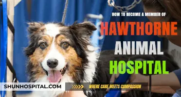 Join Hawthorne Animal Hospital: Steps to Become a Valued Member