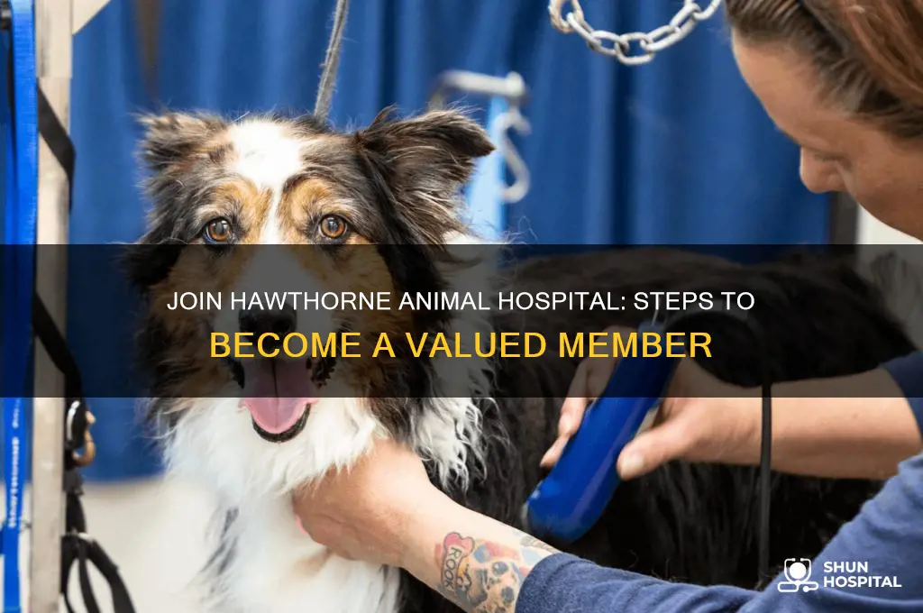how to become a member of hawthorne animal hospital