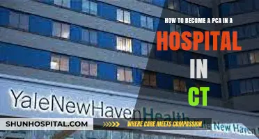 Steps to Becoming a PCA in Connecticut Hospitals: A Guide